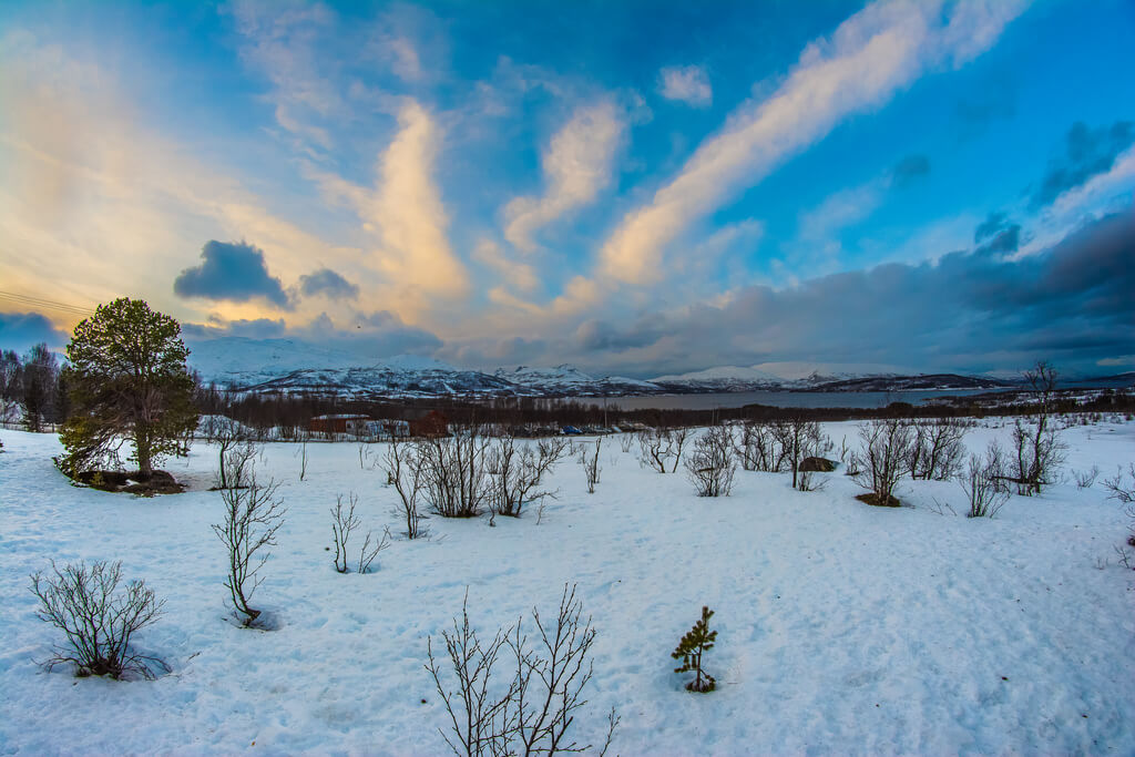 Tromso W Styczniu 2025 Pogoda I Średnia Temperatura W Styczniu Laponia Gdzie I Kiedy 2835